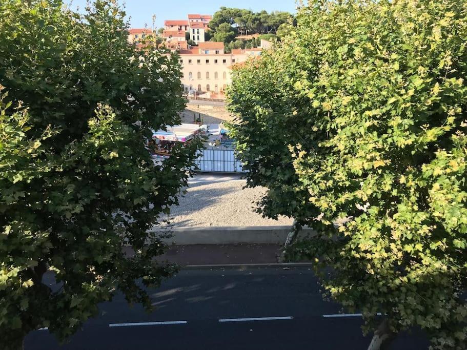Апартаменты Studio Bon Dia/Balcon/Proche Criques Et Collioure Пор-Вандр Экстерьер фото